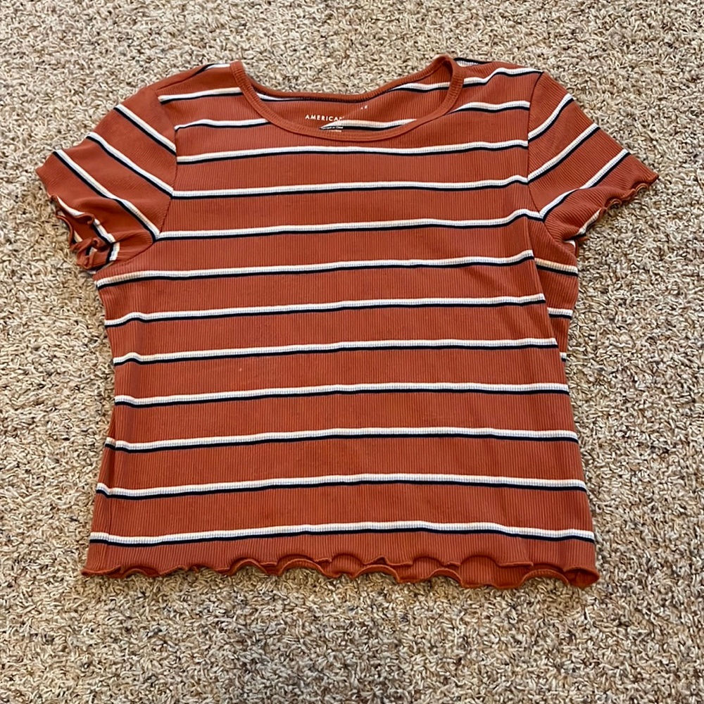 Crop top, dark Salmon color, stripes are white, baby blue, and navy